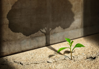 Das Business Netzwerk | wachsen